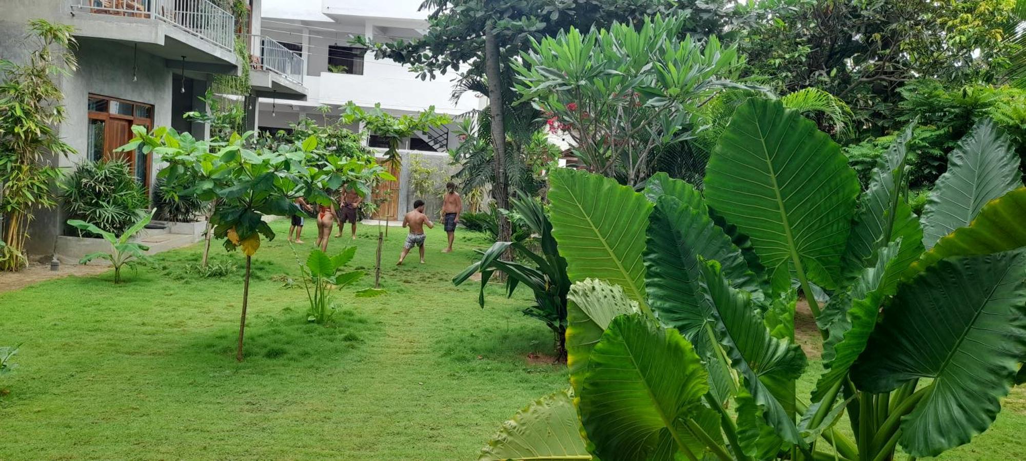 Arugambay Surf Gangs Hotel Arugam Bay Eksteriør billede