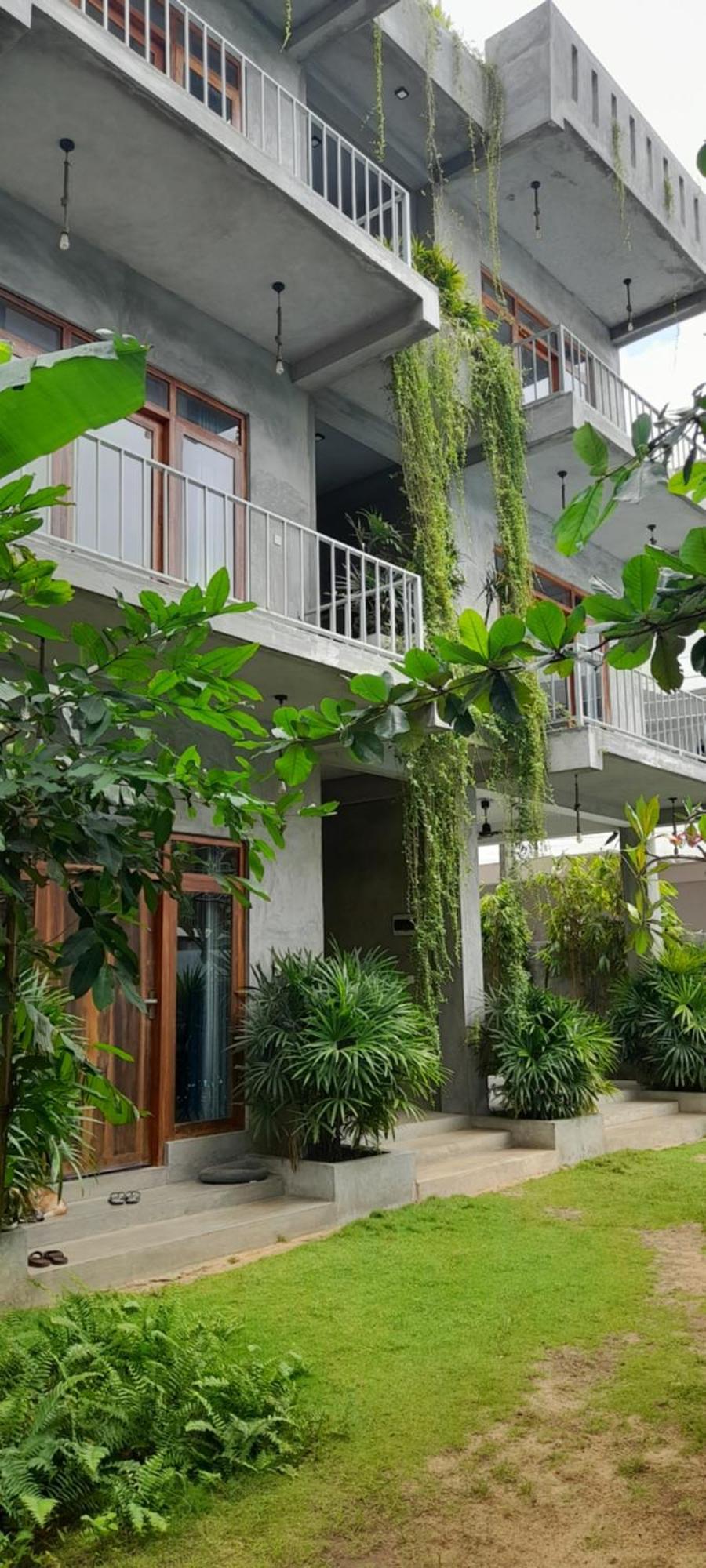 Arugambay Surf Gangs Hotel Arugam Bay Eksteriør billede